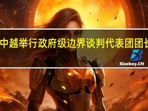 中越举行政府级边界谈判代表团团长会晤