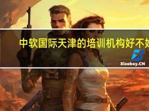 中软国际天津的培训机构好不好，学校说可以选择去，那我是去还是不去