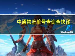 中通物流单号查询查快递（中通物流单号查询）