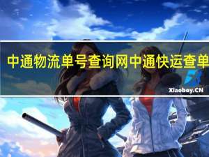 中通物流单号查询网 中通快运查单查询