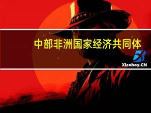 中部非洲国家经济共同体：在加蓬政变发生后预计将召开特别会议进行讨论