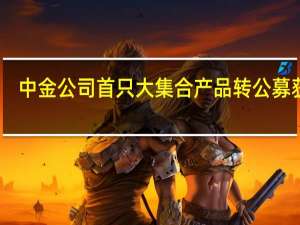 中金公司首只大集合产品转公募获批