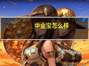 中金宝怎么样
