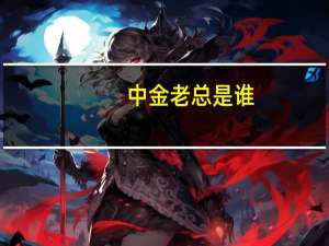 中金老总是谁