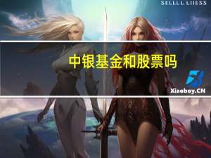中银基金和股票吗