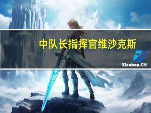 中队长指挥官维沙克斯（中队指挥官维沙克斯）