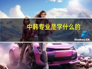 中韩专业是学什么的
