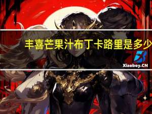 丰喜 芒果汁布丁卡路里是多少