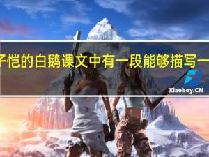 丰子恺的白鹅课文中有一段能够描写一丝不苟的