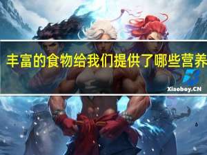 丰富的食物给我们提供了哪些营养成分
