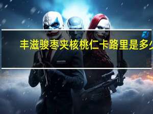 丰滋 骏枣夹核桃仁卡路里是多少