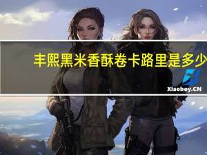 丰熙 黑米香酥卷卡路里是多少