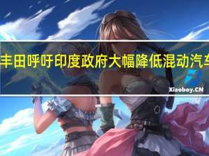 丰田呼吁印度政府大幅降低混动汽车税率
