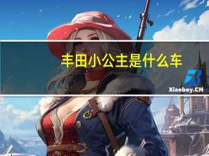 丰田小公主是什么车（丰田小公主）