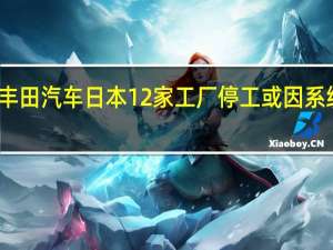 丰田汽车日本12家工厂停工 或因系统故障