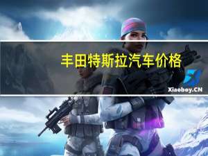 丰田特斯拉汽车价格