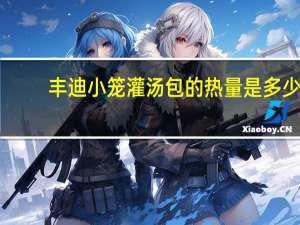 丰迪 小笼灌汤包的热量是多少