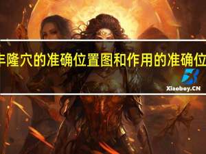 丰隆穴的准确位置图和作用的准确位置图片（丰隆穴的准确位置和作用）