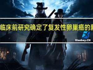 临床前研究确定了复发性卵巢癌的新靶点