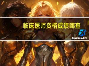 临床医师资格成绩哪查