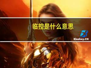 临控是什么意思