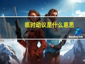 临时动议是什么意思