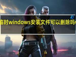 临时windows安装文件可以删除吗 win10