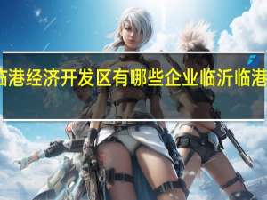 临沂临港经济开发区有哪些企业 临沂临港经济开发区