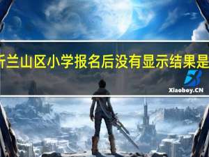 临沂兰山区小学报名后没有显示结果是怎么回事