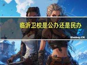 临沂卫校是公办还是民办