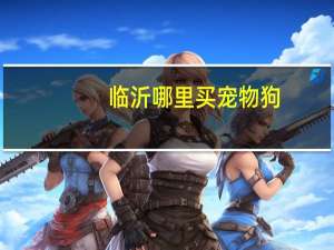 临沂哪里买宠物狗