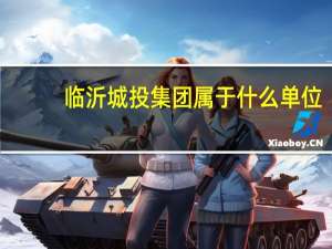 临沂城投集团属于什么单位