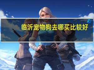 临沂宠物狗去哪买比较好
