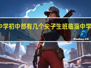 临淄中学初中部有几个尖子生班 临淄中学是大高中吗