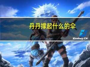 丹丹撑起什么的伞