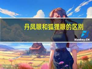 丹凤眼和狐狸眼的区别