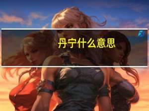 丹宁什么意思