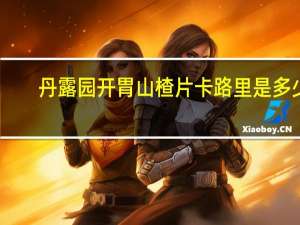 丹露园 开胃山楂片卡路里是多少