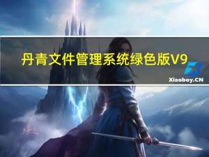 丹青文件管理系统绿色版 V9.01 最新免费版（丹青文件管理系统绿色版 V9.01 最新免费版功能简介）