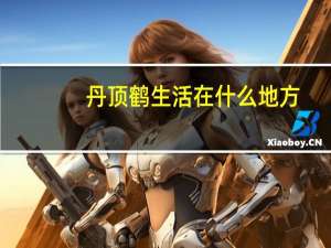 丹顶鹤生活在什么地方