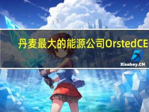 丹麦最大的能源公司Orsted CEO：公司仍致力于美国风能市场