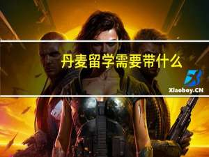 丹麦留学需要带什么