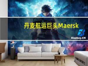 丹麦航运巨头Maersk：以色列的主要港口正常运作将继续接受与以色列之间的货运预订