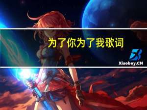 为了你为了我歌词（为了你为了我）