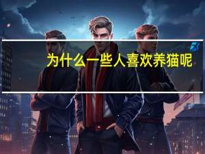 为什么一些人喜欢养猫呢