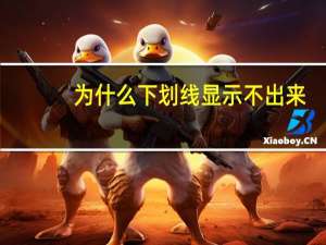 为什么下划线显示不出来