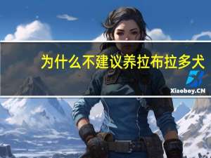 为什么不建议养拉布拉多犬