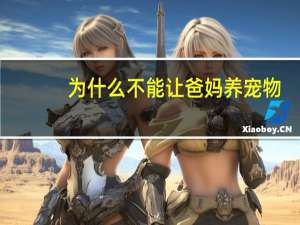 为什么不能让爸妈养宠物