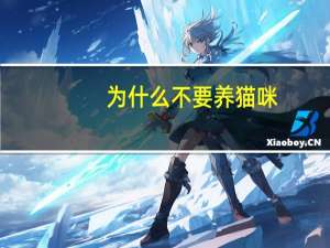 为什么不要养猫咪