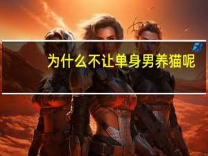 为什么不让单身男养猫呢